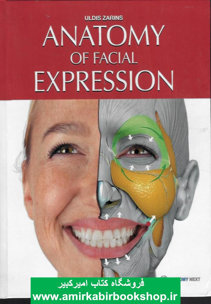Anatomy of Facial Expressions(آناتومي حالت هاي صورت)
