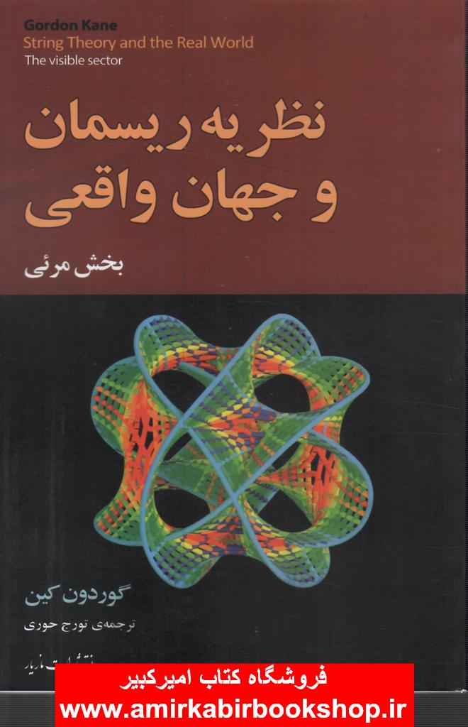 نظريه ريسمان و جهان واقعي(بخش مرئي)