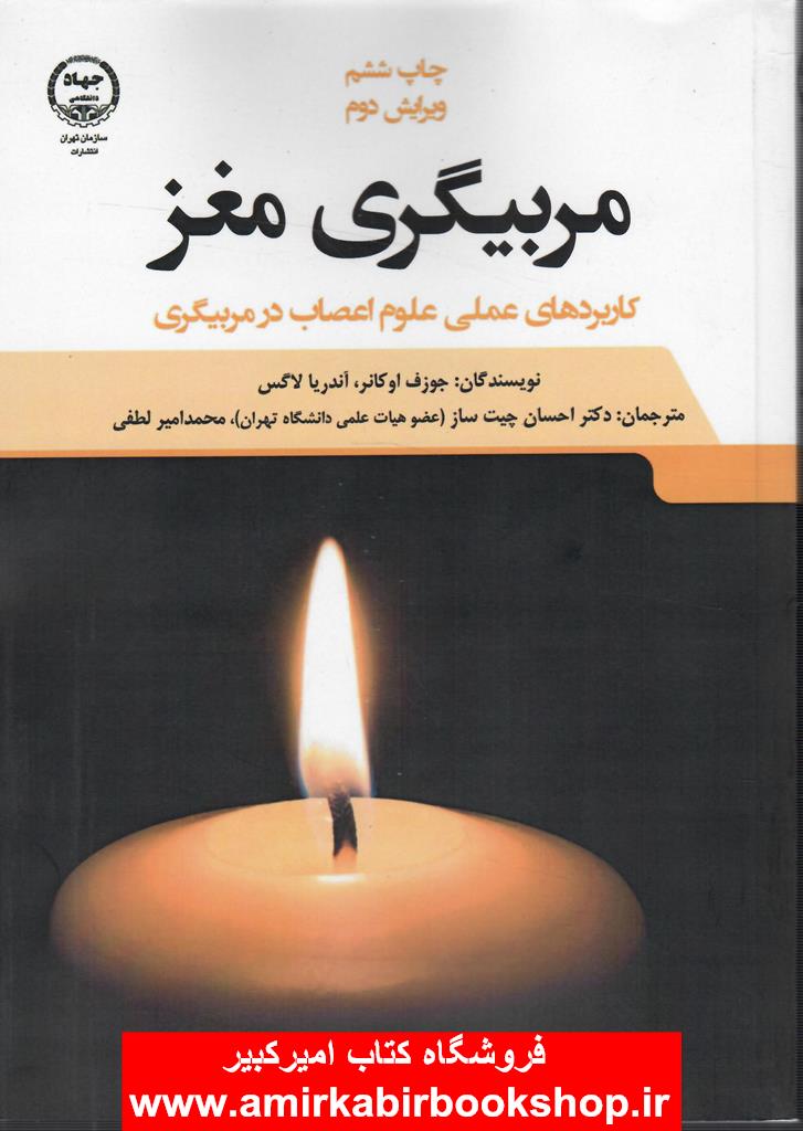 مربيگري مغز