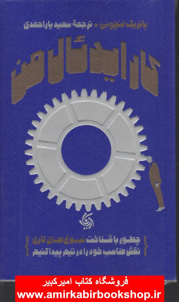 کار ايدئال من(چطور با نبوغ کاريب نقشم را در تيم پيدا کنم)